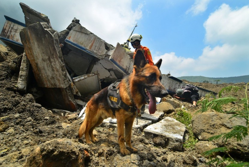 Polda Jabar kerahkan anjing pelacak cari korban longsor Sukabumi
