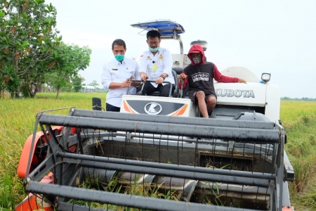 Kunjungi Pemalang, Mentan SYL Panen Padi dan Lele